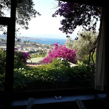 Antik Zeytin & Art Göltürkbükü