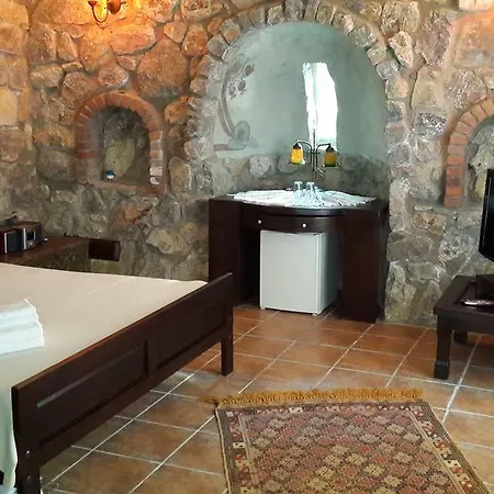 Pensiune Antik Zeytin & Art