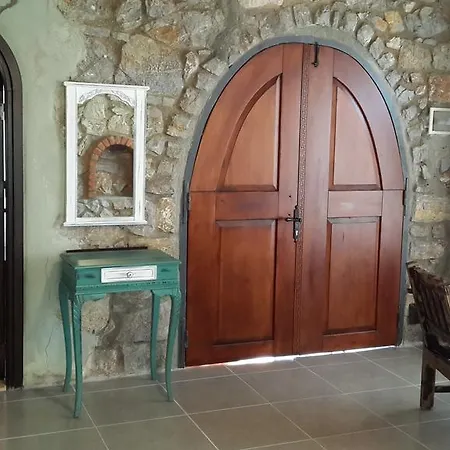 Pensiune Antik Zeytin & Art