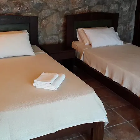 Antik Zeytin & Art Göltürkbükü