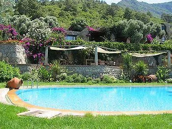 Antik Zeytin & Art 3*