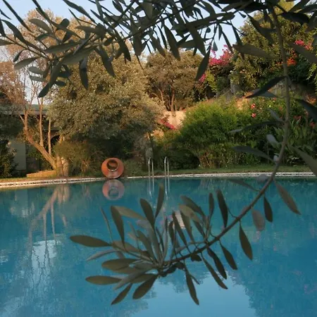 Antik Zeytin & Art Pensiune Göltürkbükü