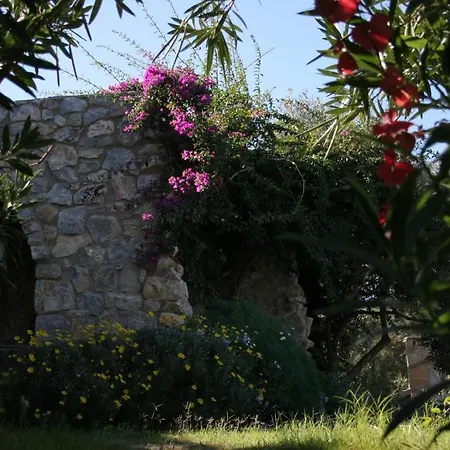 Antik Zeytin & Art 3*