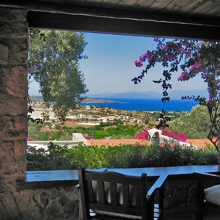 Antik Zeytin & Art 3* Göltürkbükü