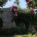Antik Zeytin & Art 3*