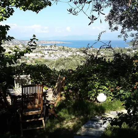 Pensjonat Antik Zeytin & Art