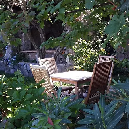 Pensjonat Antik Zeytin & Art
