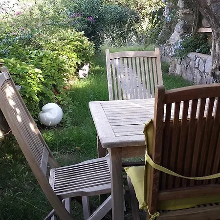 Pensjonat Antik Zeytin & Art