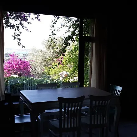 Pensjonat Antik Zeytin & Art 3*