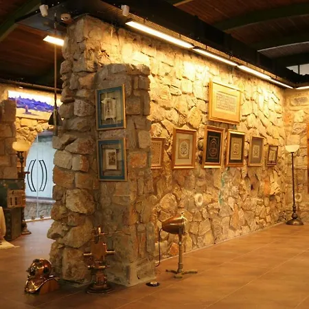Antik Zeytin & Art