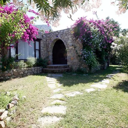 Antik Zeytin & Art Gasthuis Göltürkbükü