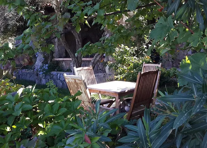 Pensjonat Antik Zeytin & Art