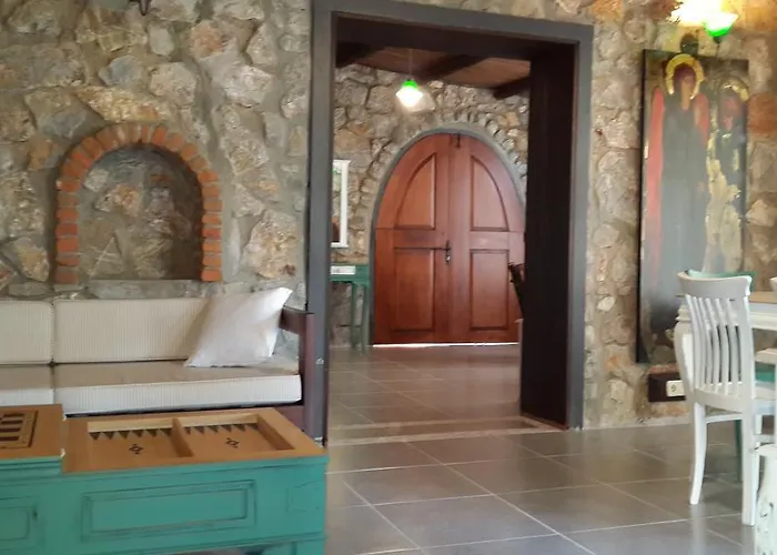 Antik Zeytin & Art